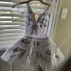 Leotards For Girls Ballet Dance Skirted Princess Dress