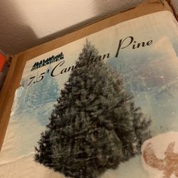 7.5 Canadian Pine