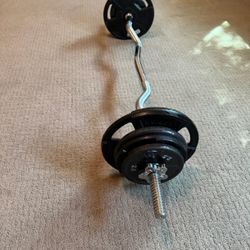 Standard Curl Bar With 45 Lbs