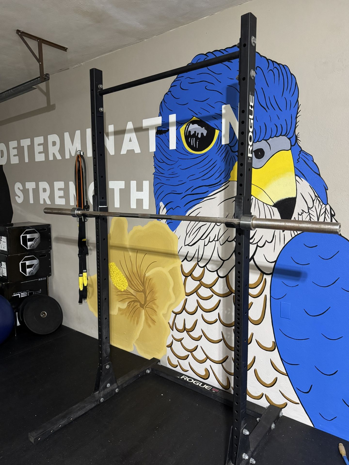 Rogue Olympic Bar Weight Set