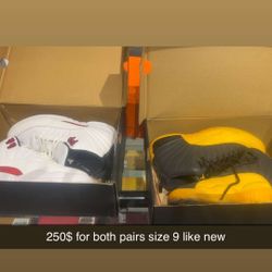 Jordan 12s 2 Pairs 