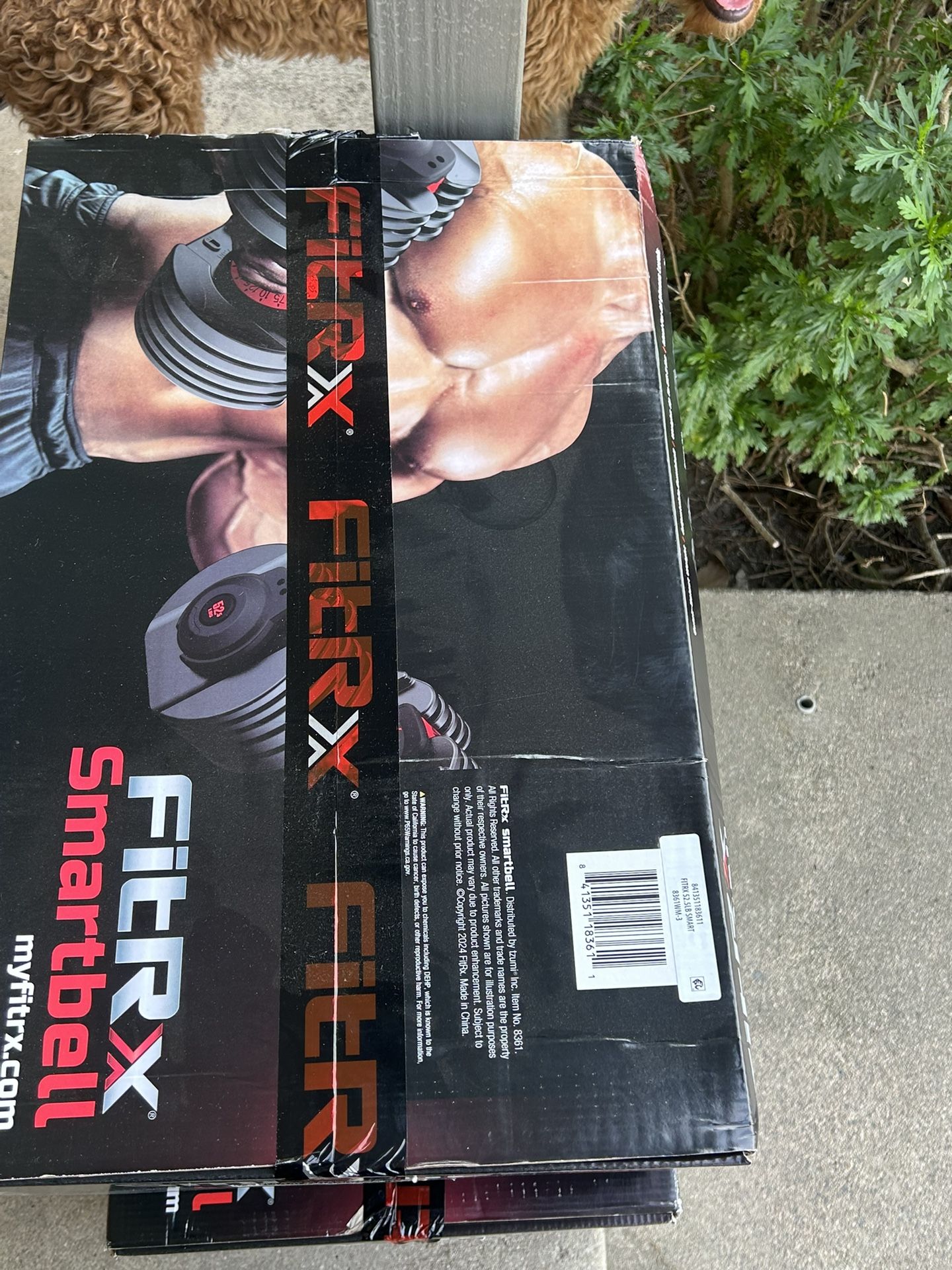 Adjustable Dumbbells