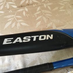 2 Bats In Nike Bat Bag