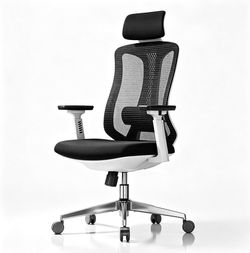 🔥new inbox🔥Ergonomic Office Chair for Adults with 3D Armrests and Tilt Lock
Mesh Office Chair with Adjustable Lumbar Support and Headres