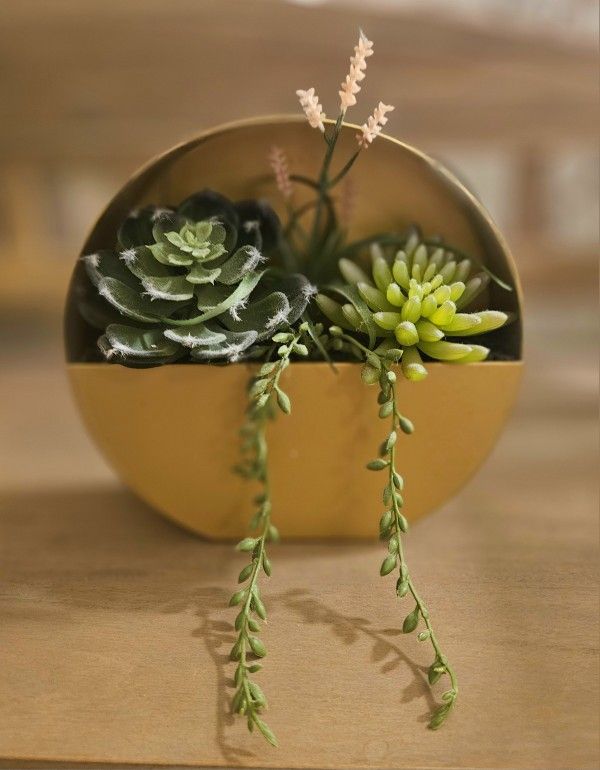 Project 62 Artificial Succulent Wall Decor