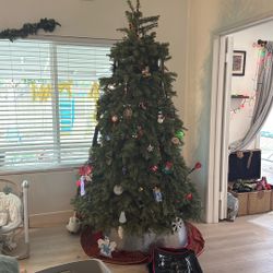 Free Tree- La Mesa / Fletcher Pkwy