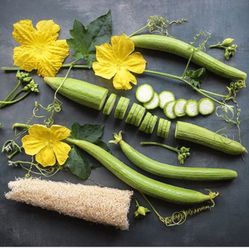 LUFFA … GROW YOUR OWN WASH CLOTH SPONGE. ALL ORGANIC…