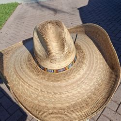 CHARLIE 1 Horse Sombrero