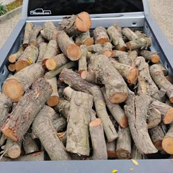 Almond Tree Firewood For Sale 