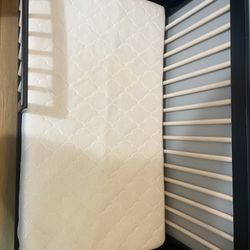 Newton Crib mattress 