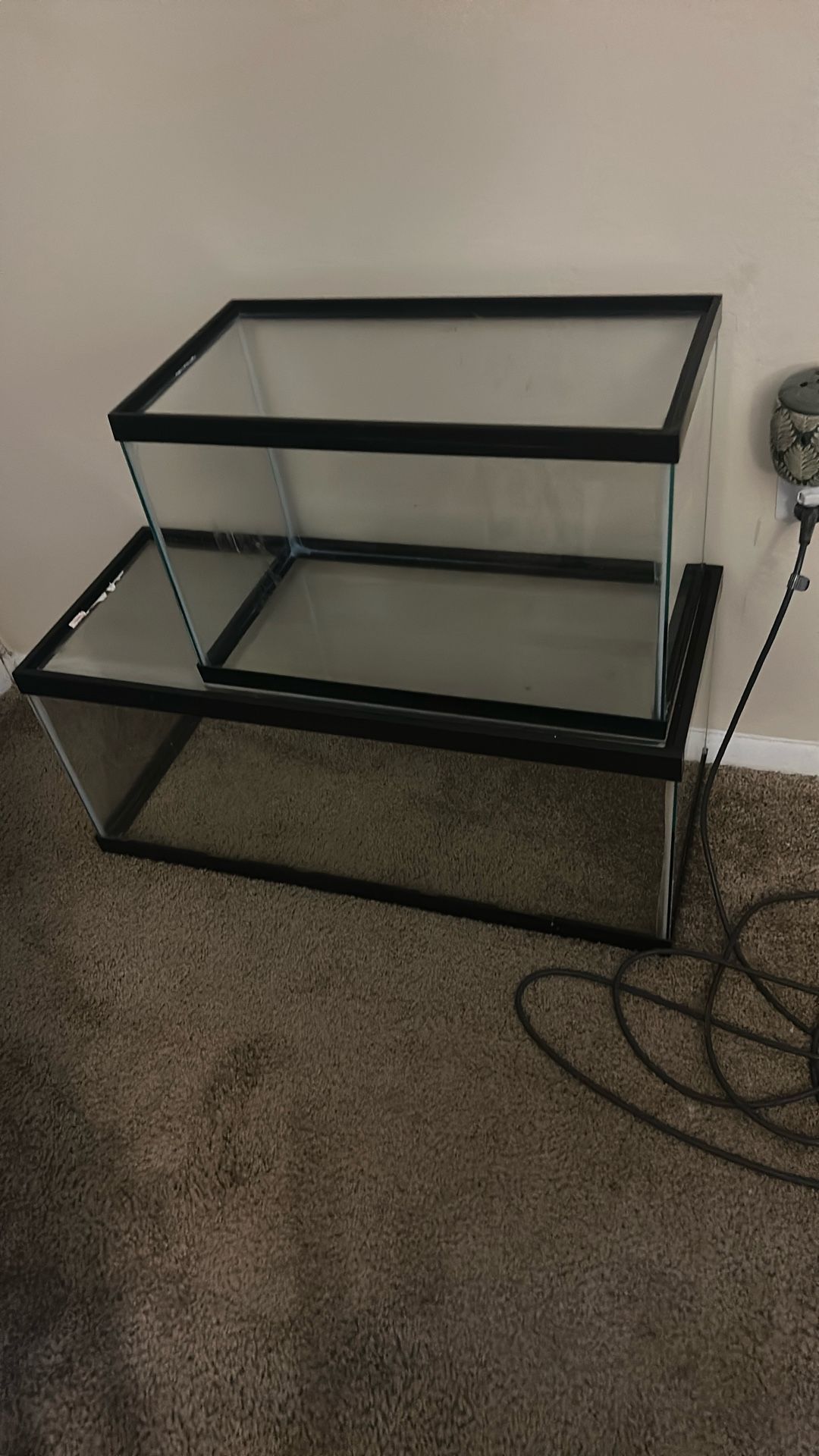 Aquarium Or Terrarium