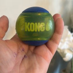 KONG® Squeezz™ Action Ball Dog Toys -