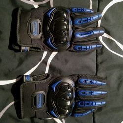 Motorcycle Gloves