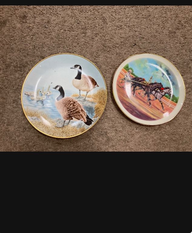 Animal decor plates $10 dollars each