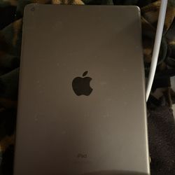 iPad 