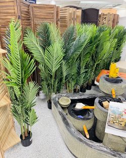 Areca Palm Plant 4.6 Feet🌴
