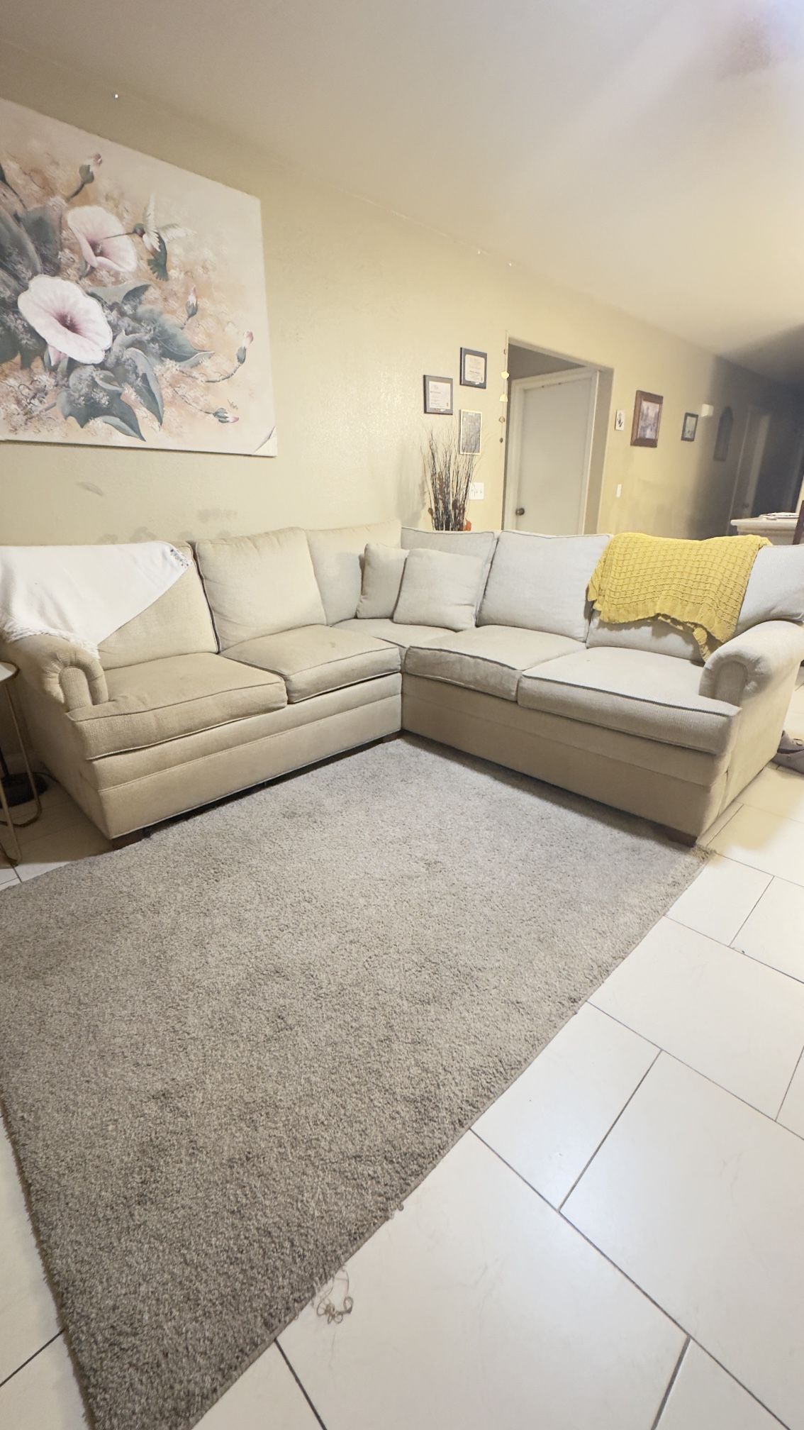 Sectional Couch