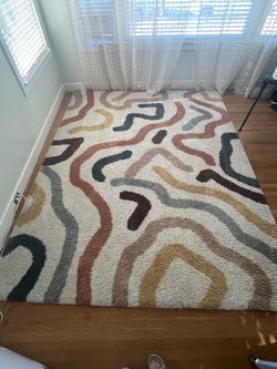 8x10 Area Rug