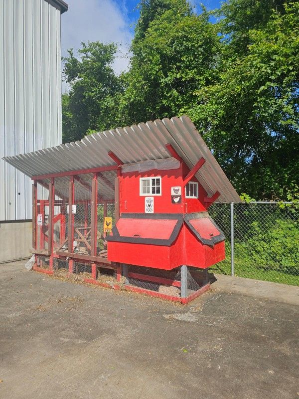 Chicken Coop