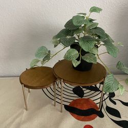 Set of 2 Rustic Wood & Gold Plant Stands | Display Risers | Boho Decor