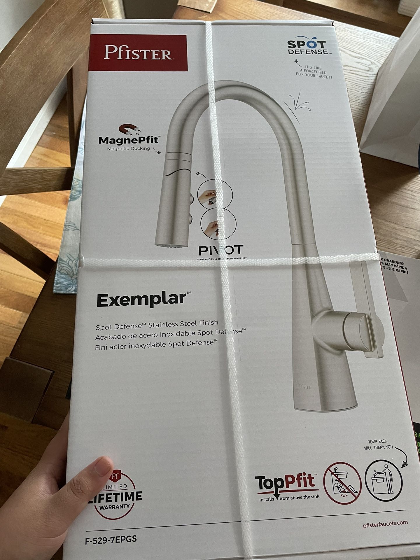 Pfister Exemplar New Sealed Kitchen Faucet