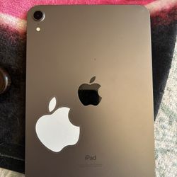 ipad mini 