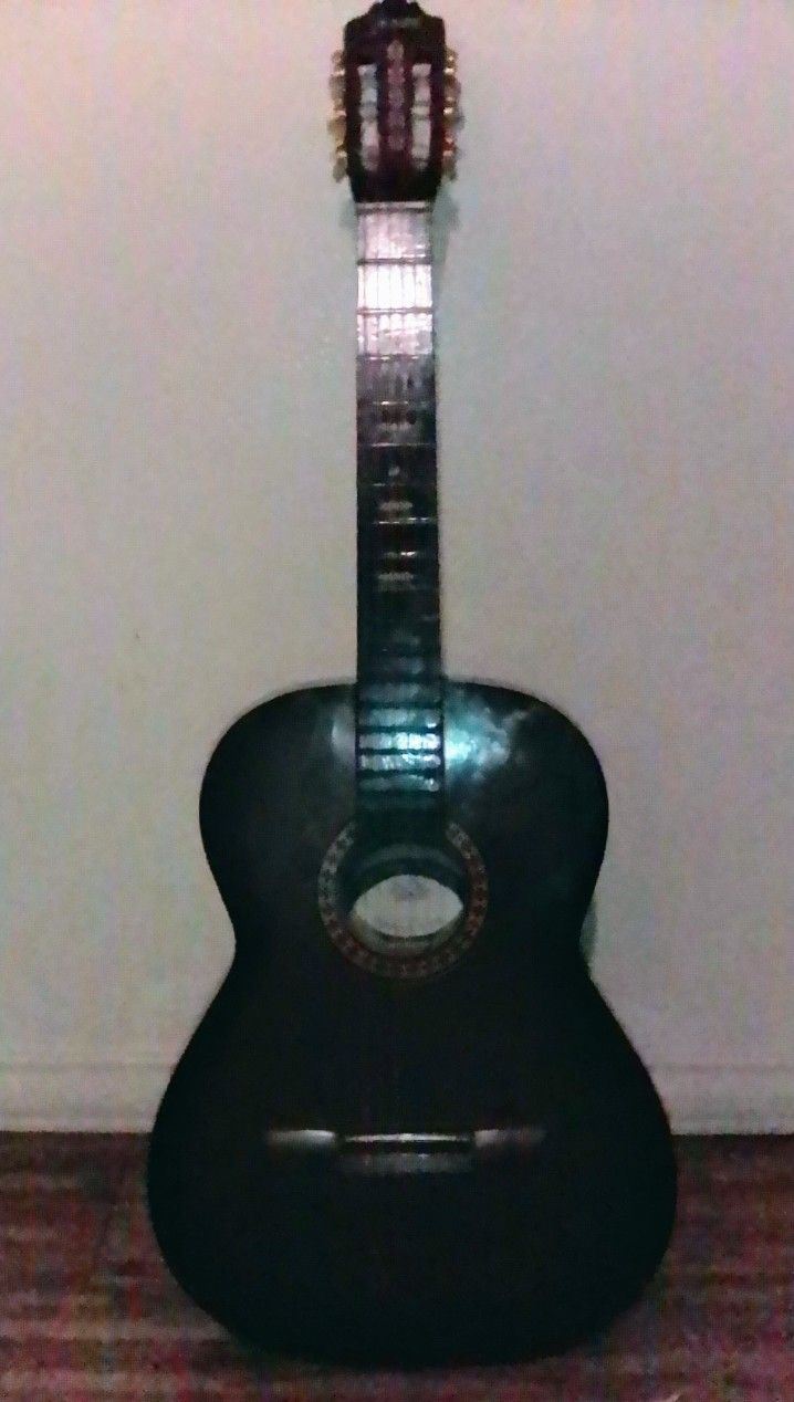 Acoustic Guitar 