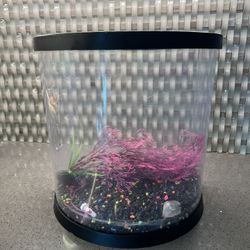Fish Tank Plastic