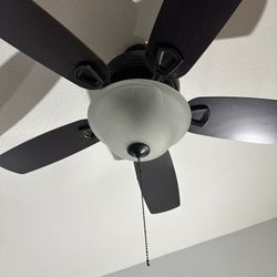 Hunter 42 Inch Ceiling Fan. Works Well
