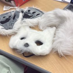Furry Therian Mask and Fox Tail Gloves Set for Girls, Cat Mask Therian, Tharian Costumes, Wolf Therian Gear