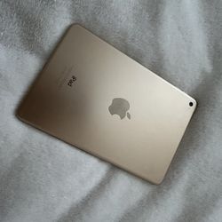 iPad Mini