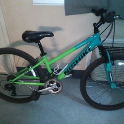 Nishiki Mountain Bike 