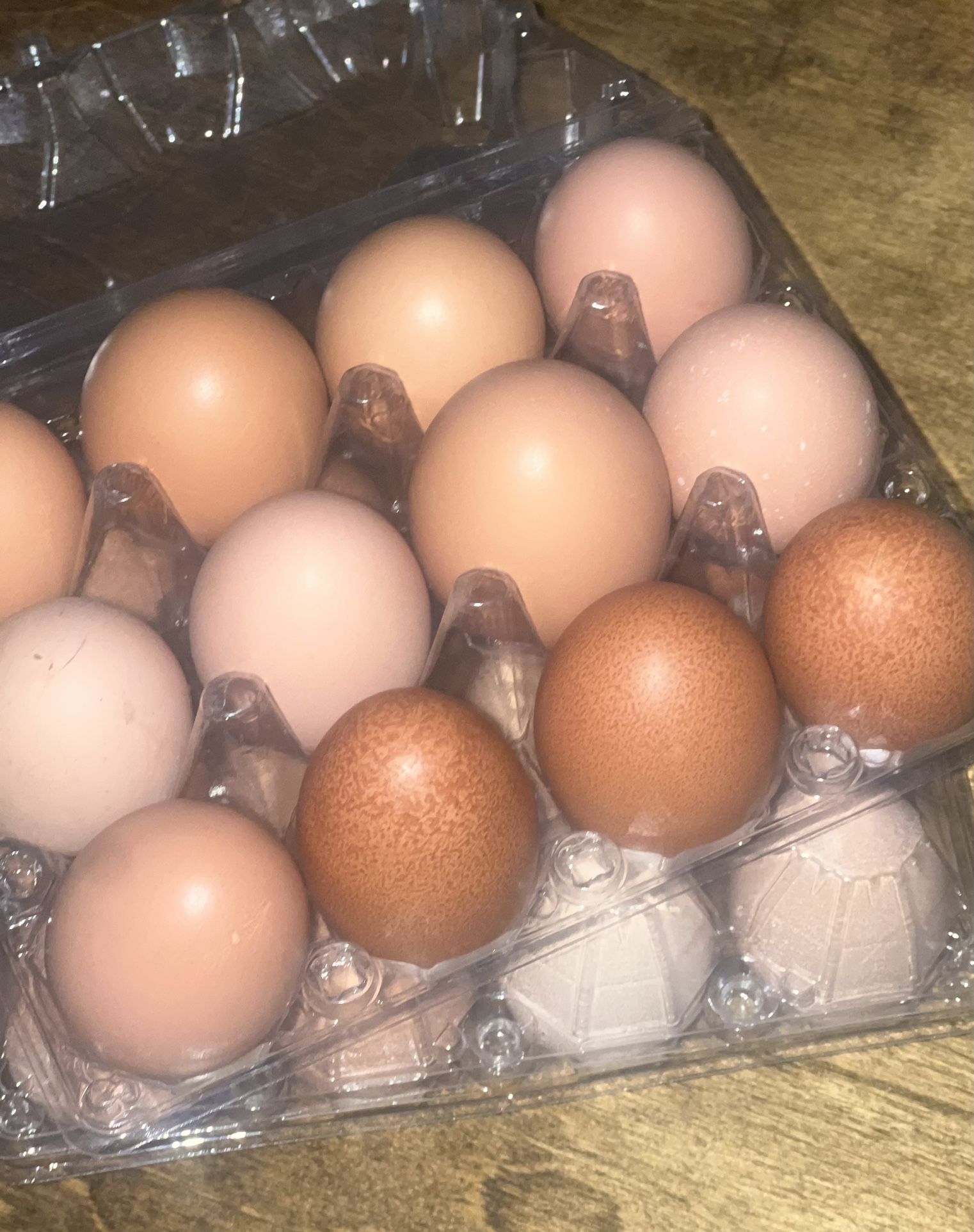 Huevos/Eggs
