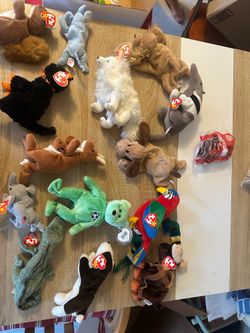 Complete instant collection toy lot beanie babies