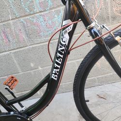 Custom Beach Cruiser Bike