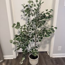 Small Artificial Indoor Tree – Faux Plant – Modern Home Decor