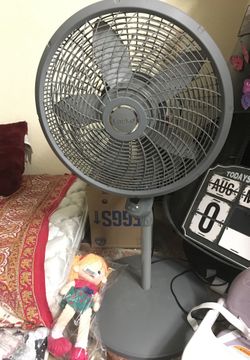 Fan