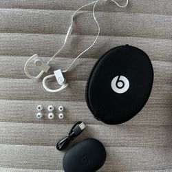 Powerbeats3 Wireless In Ear Headphones