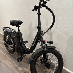 Electric Bike / E-Bike - Wildeway Fat Tire Step-Thru Package