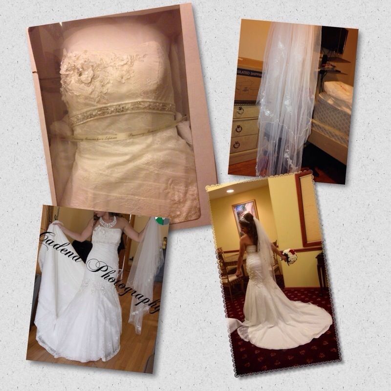 Oleg Cassini bride gown & vail