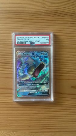 2019 Graydos gx