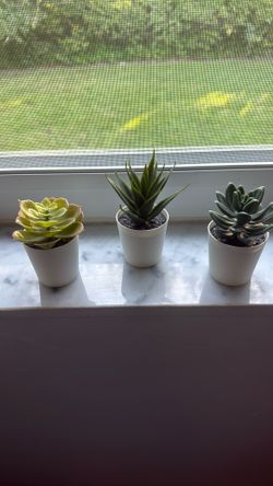 Small Fake Succulents 