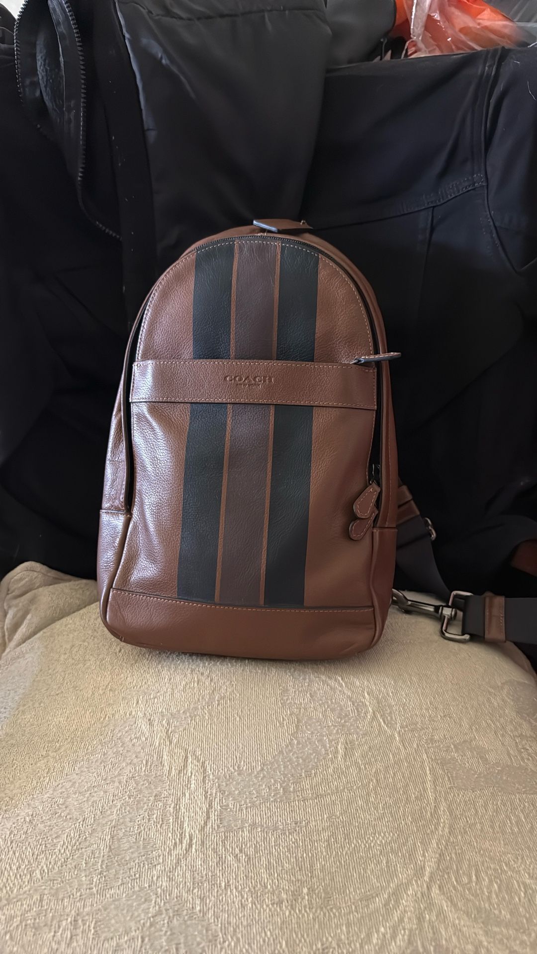 Coach Should/Messenger Bag