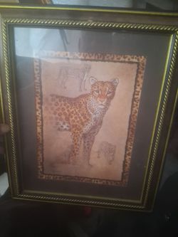 Lion and leopard pics