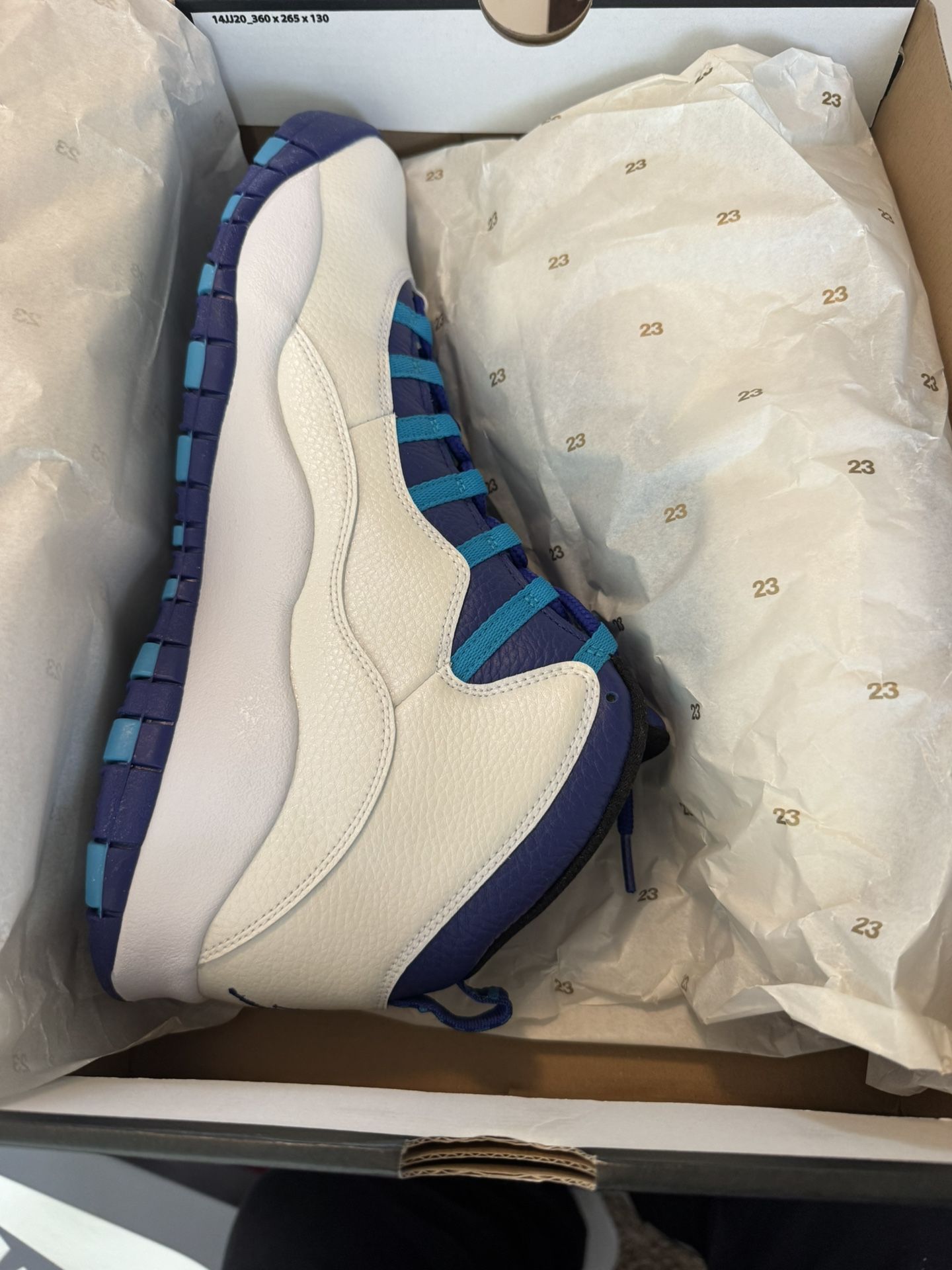 Jordan 10 (charlotte)