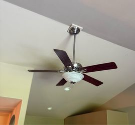 Ceiling fan