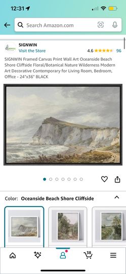 Framed Wall Art Painting