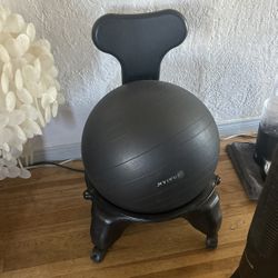 Gaiam Classic Balance Ball Chair
