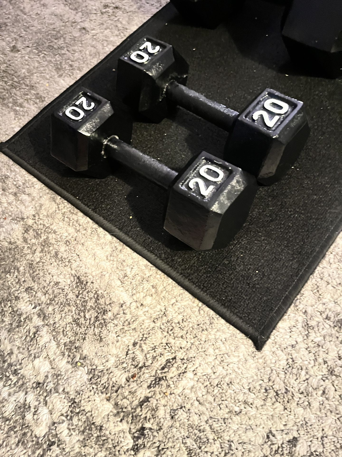 20 Lb Dumbells
