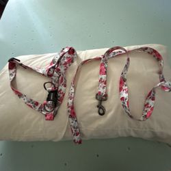 Dog collar and leash